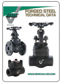 Beric Forged Steel Valves
