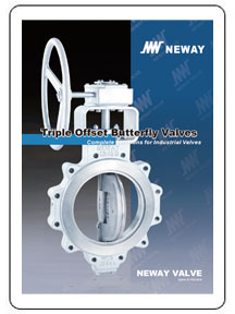 Neway Triple Offset Butterfly Valves